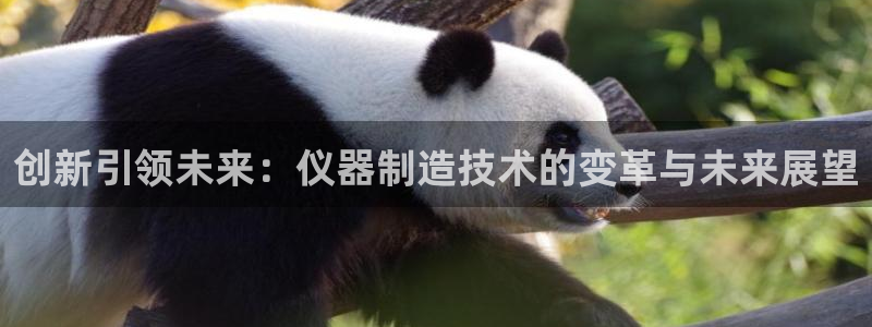 天宏娱乐老男孩董叔：创新引领未来：仪器制造技术的变革与未来展