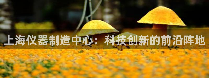 宏天娱乐会所怎么样：上海仪器制造中心：科技创新的前沿阵地