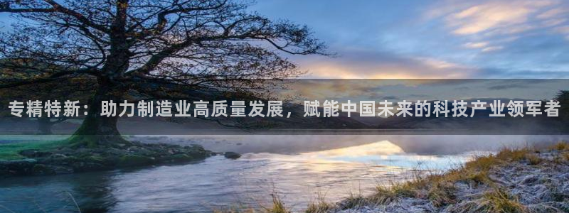 天宏娱乐赵叔：专精特新：助力制造业高质量发展，赋能中国未来的
