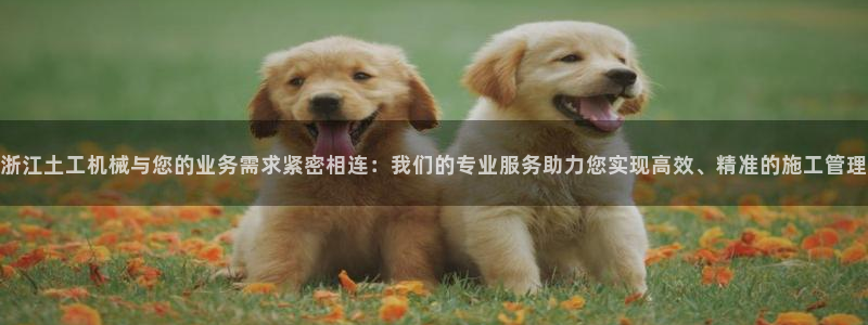天宏娱乐陈叔：浙江土工机械与您的业务需求紧密相连：我们的专业