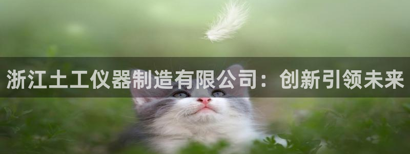 天宏娱乐的王叔：浙江土工仪器制造有限公司：创新引领未来