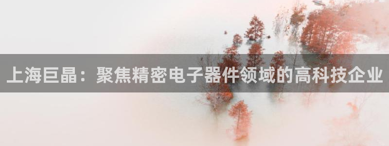 天宏娱乐在哪里：上海巨晶：聚焦精密电子器件领域的高科技企业
